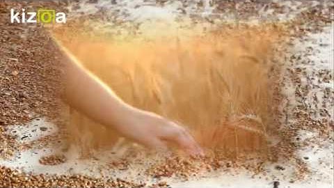 Kizoa Video Editor - Movie Maker: loveing summer and family