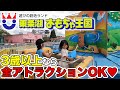 【東条湖おもちゃ王国】3歳以上で乗り放題の遊園地【どれでも乗れる】