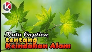 50 Kata Kata Caption Tentang Keindahan Alam