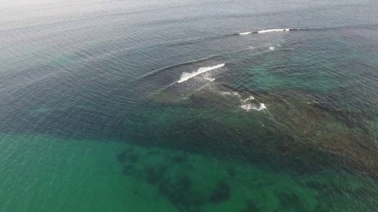 Drone Horseshoe Reef YouTube
