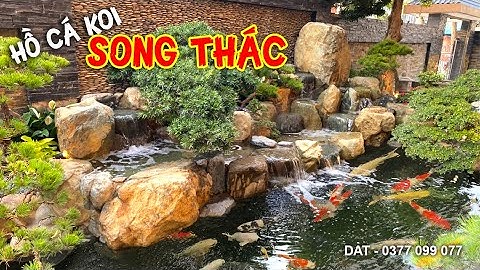 Hồ cá Koi đặc sắc với SONG THÁC | Triệu Điền