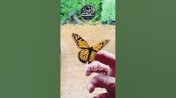 #القرآن_الكريم #تلاوة هادئة تريح القلب 😌❤️‍🩹#هذا خلق الله.. #تلاوة #القران #استمع #اقترب