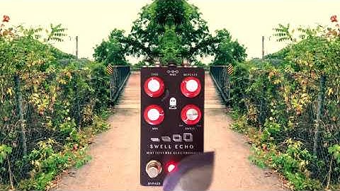 Slapback Swells with the Mattoverse Swell Echo