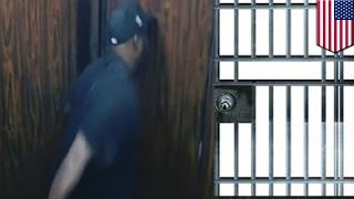 Robbery fail caught on tape: Thief trapped in elevator with victim for very awkward ride - TomoNews