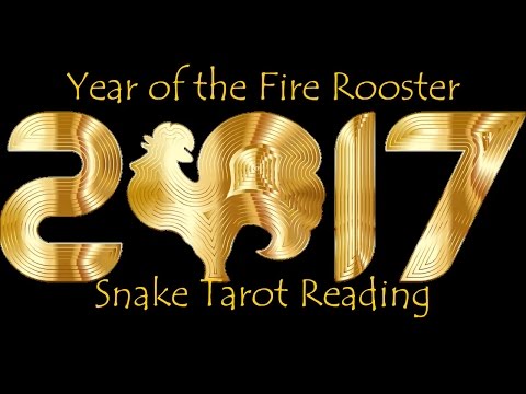 Snake 2017 Chinese New Year Reading - Born 1941, 1953, 1965, 1977, 1989, 2001 - Intuition & Decision