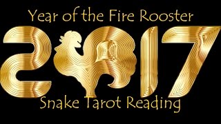 Snake 2017 Chinese New Year Reading - Born 1941, 1953, 1965, 1977, 1989, 2001 - Intuition & Decision
