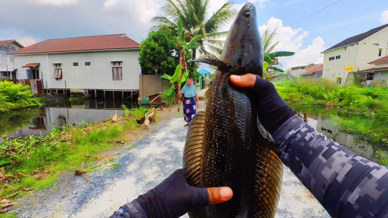 9 Jam Casting di Spot Level Hard dapat 2 Ikan Kihung Baboooon