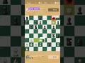 chess videos 📹