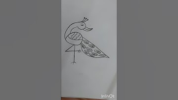 #Draw a beautiful Peacock Using numbers 6 4 #how to draw Peacock #easy and simple Peacock drawing