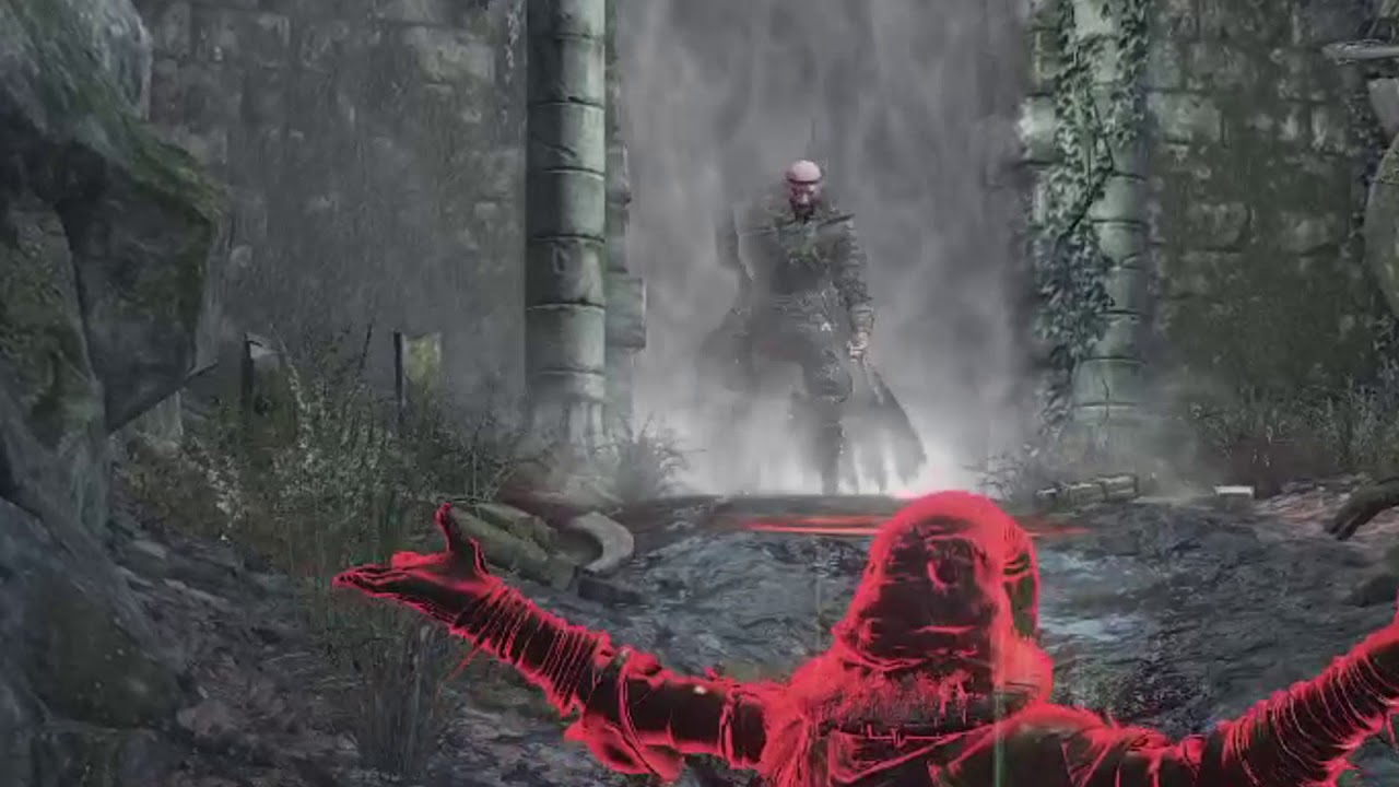 Salty Fog Runner - Dark Souls 3(w/Hatemail)