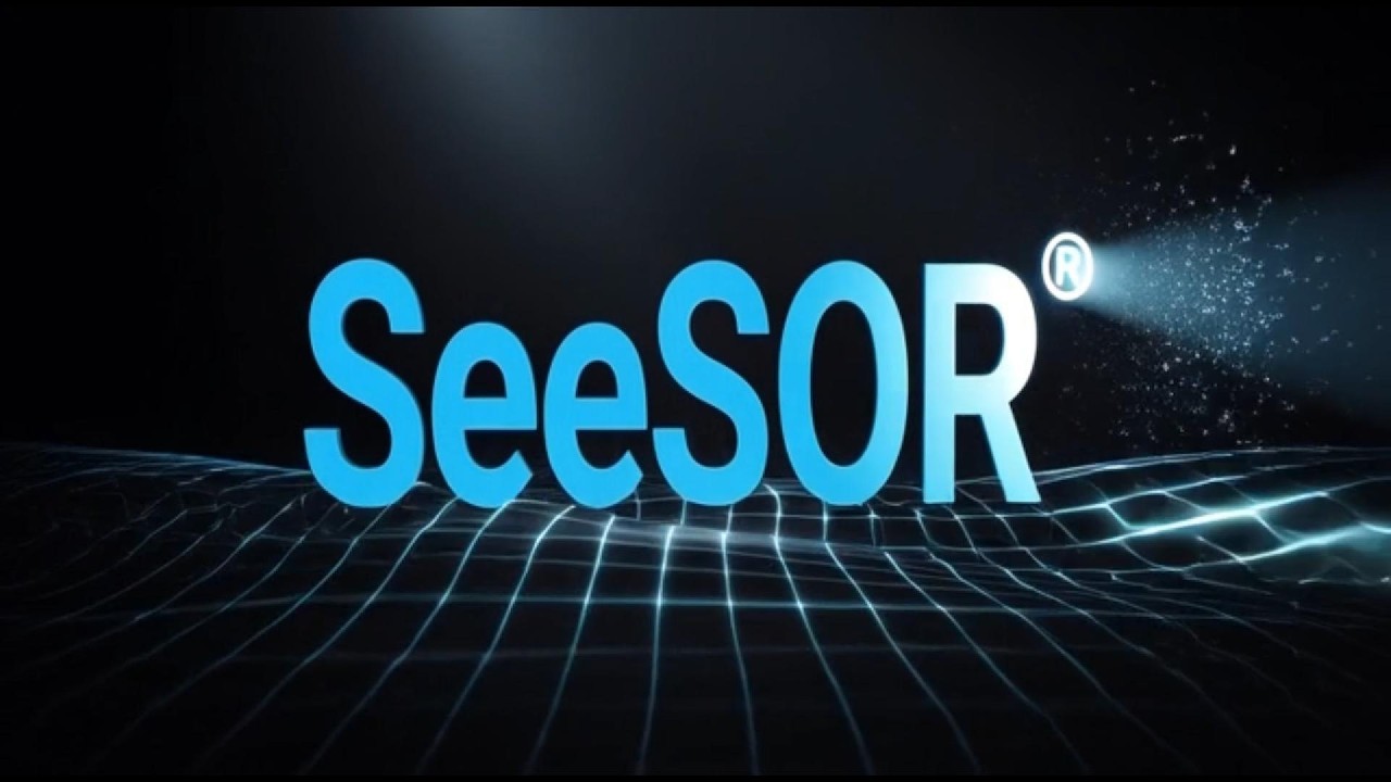 SeeSOR® QMS Short Explainer
