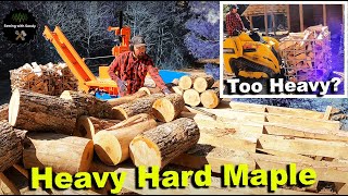 Just How Good is a Mini Skid Steer at Moving Firewood? Let's Find Out!