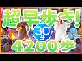 【30分】BPM150だけ厳選🔥　滝汗ノンストップ有酸素運動💦 #18