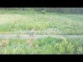 Itto - Wood Morning