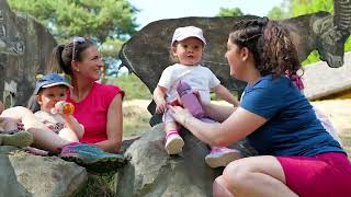 Valcanale Family Lestate In Montagna A Misura Di Bambino