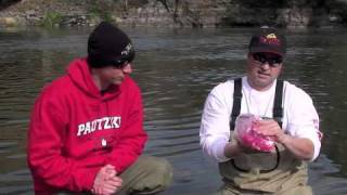 How To Cure Eggs Borax Cure