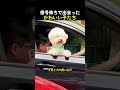 信号待ちで出会った信号待ちで出会った