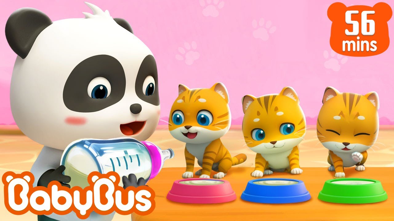 Kiki chăm sóc những em mèo | Biệt đội chăm sóc thú cưng | Nhạc thiếu nhi vui nhộn | BabyBus