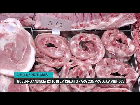 Exportações brasileiras de tilápia e produtos secundários caíram em 2025 | Giro de Notícias