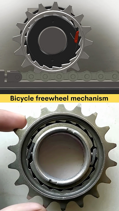 I finally discovered how a bicycle freewheel works ๐ Bicycle Freewheel Mechanical Working principle