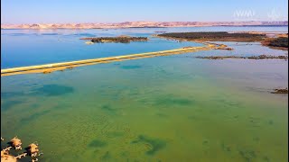 Discovering the benefits of water reuse in Middle East and North Africa | IWMI News