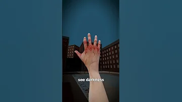 What Would You See With No Eyes 