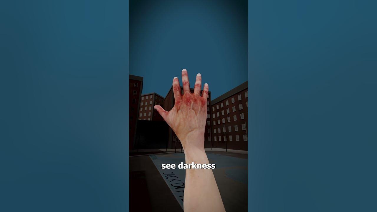 What Would You See With No Eyes? 😳