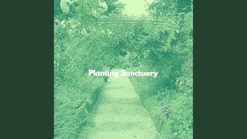 Cultured Moods for Knowing Essentials