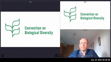 Special Joint Session of SBSTTA and SBI (18 Sept) on the Post-2020 Global Biodiversity Framework