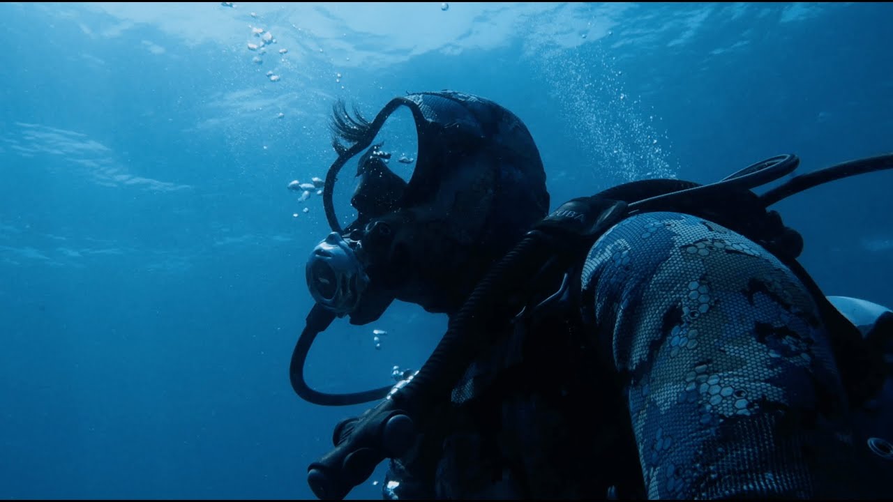 Dive into Abu Dhabi's Sea World through A Day in the Life of a Marine Scientist