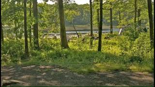 Travel - New Jersey High Point State Park