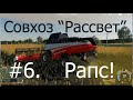 Совхоз Рассвет - Рапс. Прохождение FS19