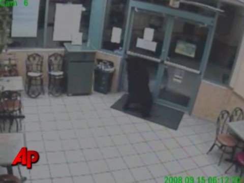 A young bear opened the door to a Subway restaurant and then sniffed around before leaving. The bear's every move was caught on the store's security camera. (Oct. 2)