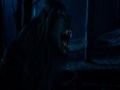 Werewolf transformation - Underworld 3