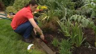 Bricomanía Jardinería: Plantación de dalias