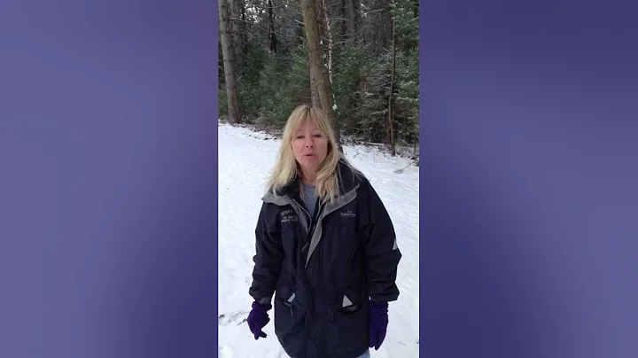 Laura's Story - How MSAA improves lives for people...