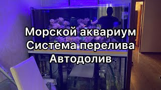 Морской Аквариум | Аквариум | Перелив в морском аквариуме | Автодолив | Попоавковый автодолив