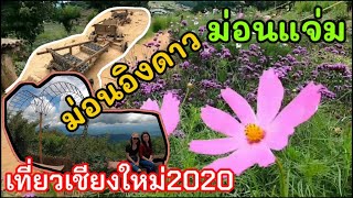 EP9 #อัพเดทเที่ยวเชียงใหม่2020 #ชมดอกไม้เมืองหนาว #ชมวิวยอดดอยม่อนแจ่ม #ดูพระอาทิตย์ขึ้นม่อนอิงดาว