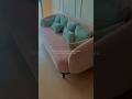 Living room 🌷🫶#home #simplyserene #shortvideo #peacefulliving #viral