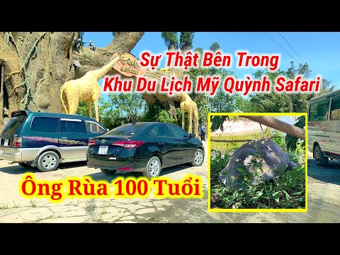 Video Sự Thật Bên Trong Sở Thú Mỹ Quỳnh Safari - youtube