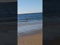#beachvibes #plages #beachlife #playa #sunsetview