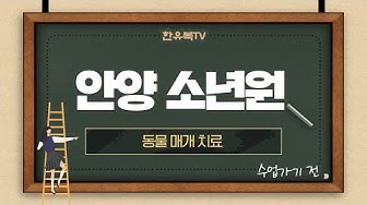 동물매개치료 - YouTube 동물매개치료 - Youtube