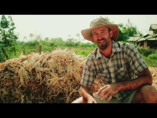 Seeds of Permaculture