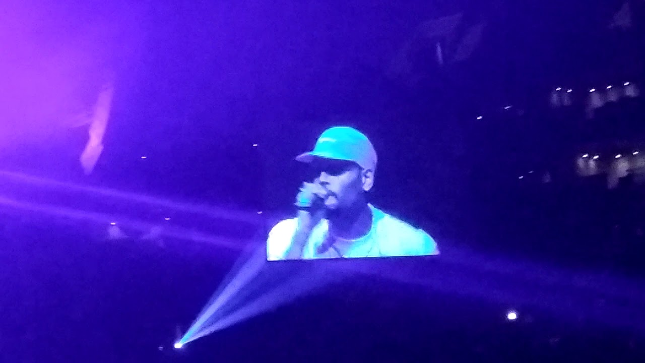 Chris Brown Indigo Tour part 5 YouTube