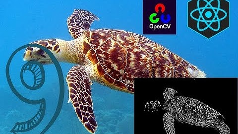 OpenCV.js React App Part 9