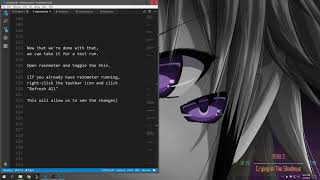 Walkthrough | Fit TokyoRavens Eye Visualizer To Your Screen