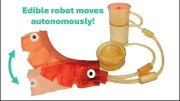 Edible Pneumatic Battery for Sustained and Repeated Robot Actuation