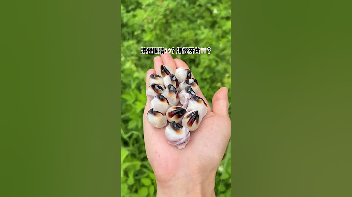 Is this a sea monster eye? A sea monster tooth? |Chinese Mountain Forest Life And Food #MoTiktok
