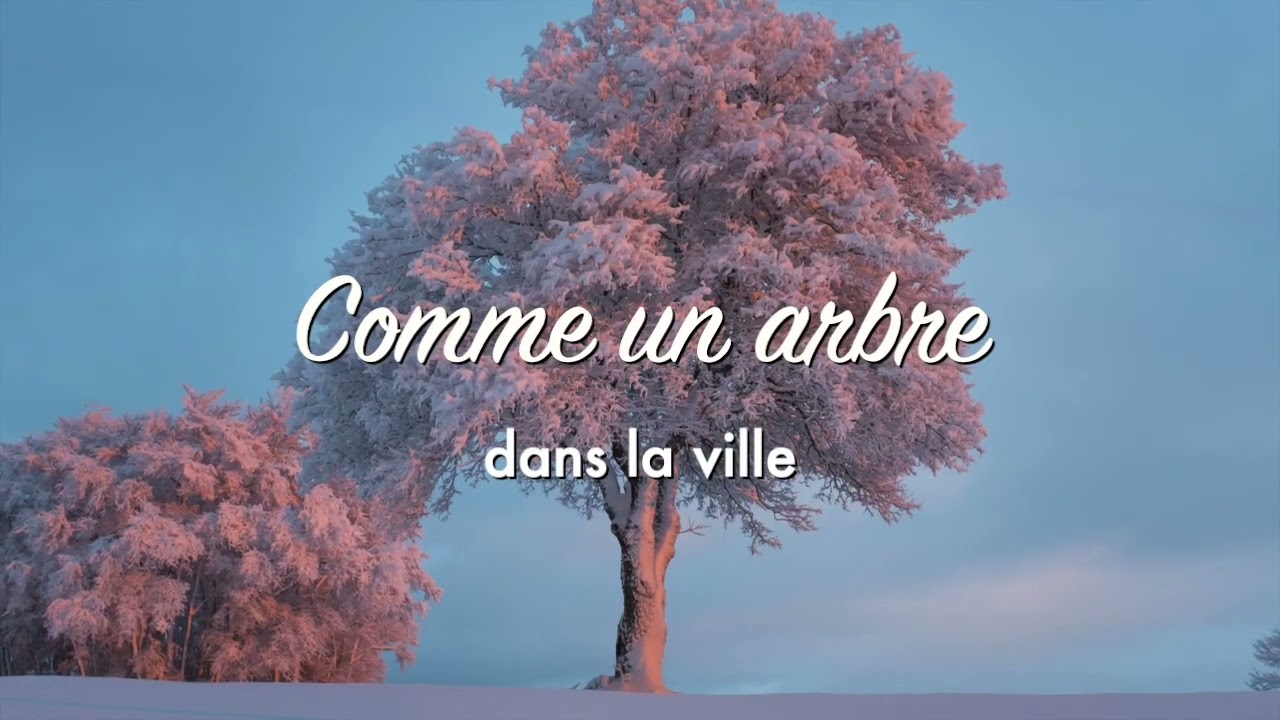 Comme un arbre dans la ville - Tou Bichvat