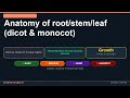 Anatomy of root/stem/leaf (dicot &amp; monocot) | NEET Class 11 Biology | Synapse